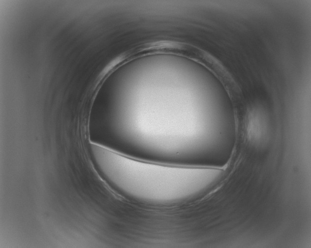 X0000081311321200701110952