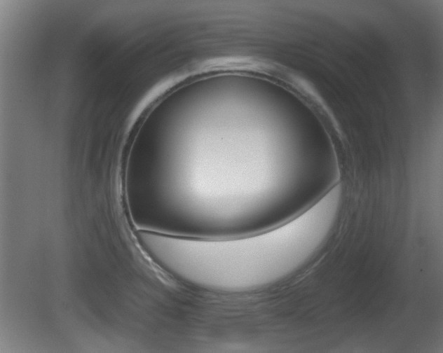 X0000081311328200701110952