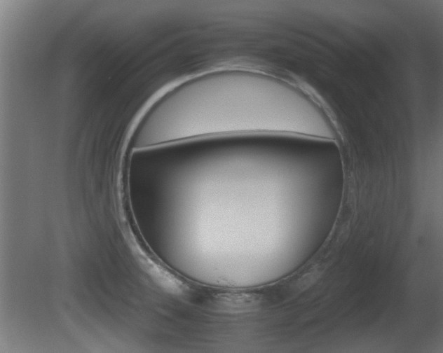 X0000081311331200701110952