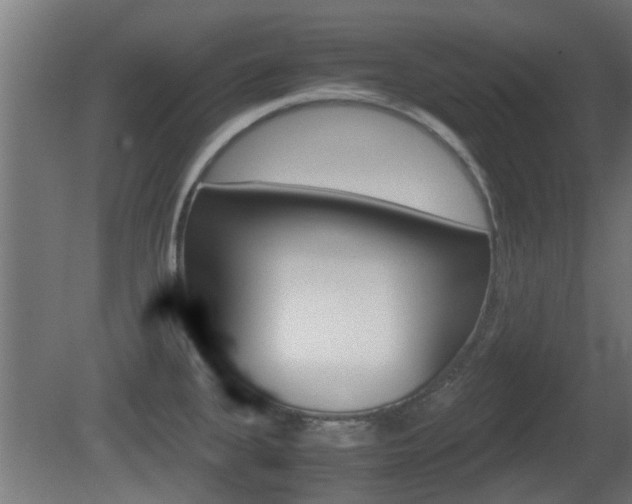 X0000081311335200701110952
