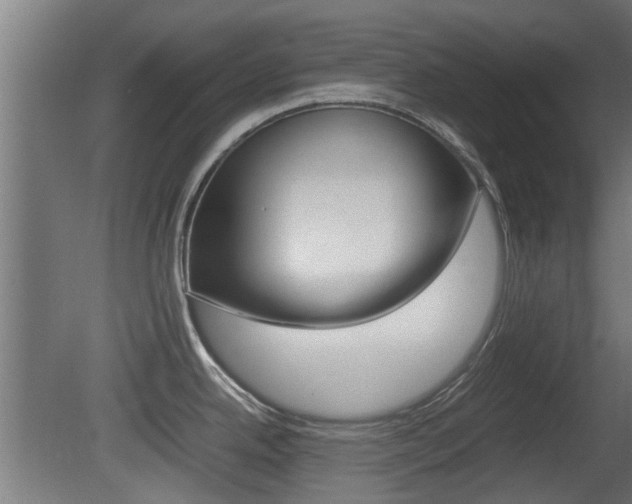X0000081311342200701110952