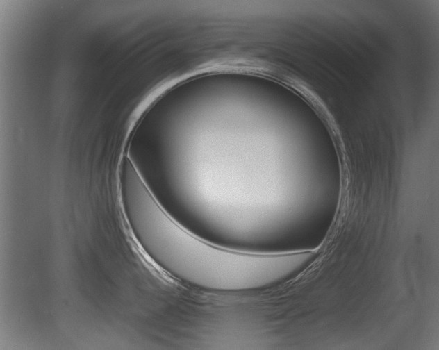 X0000081311344200701110952