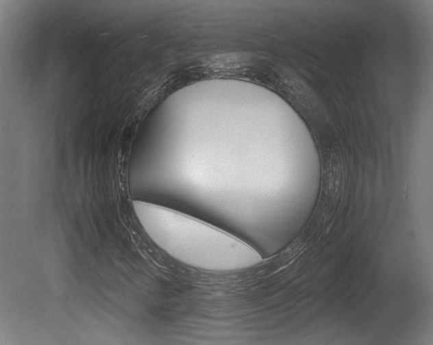 X0000081311346200701110952