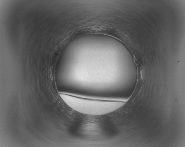 X0000081311347200701110952