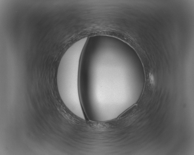 X0000081311348200701110952