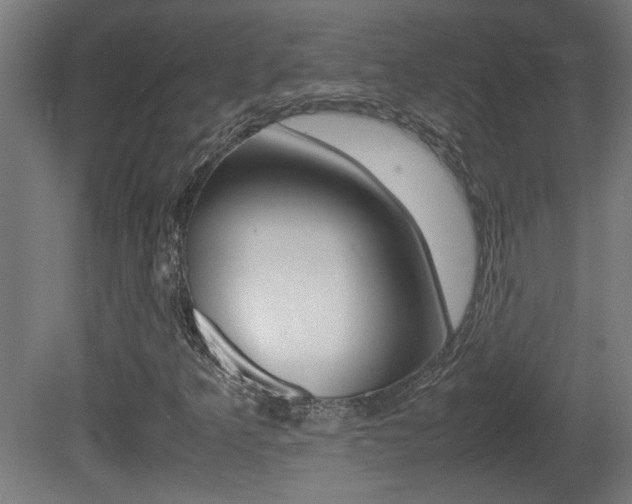 X0000081311349200701110952