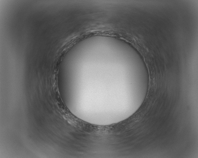 X0000081311350200701110951