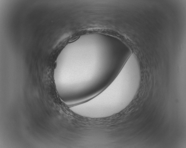 X0000081311351200701110951