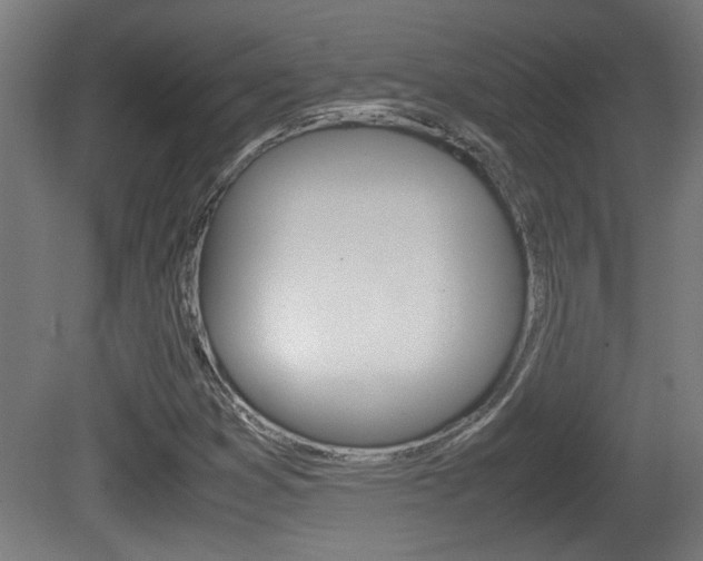 X0000081311353200701110951