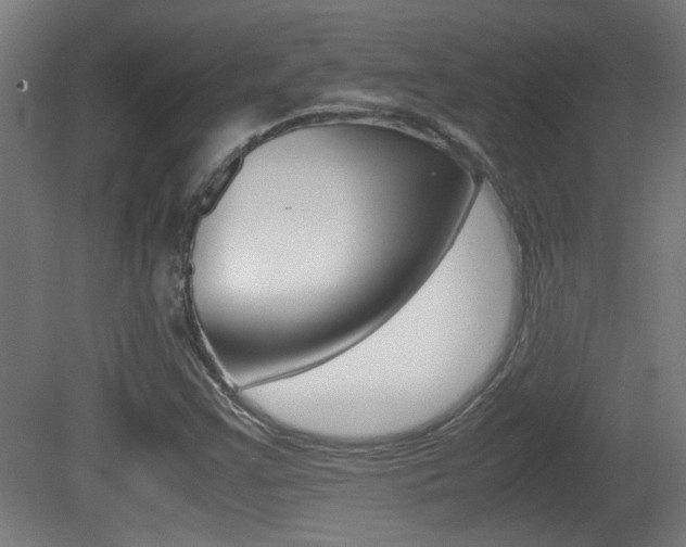 X0000081311355200701110951