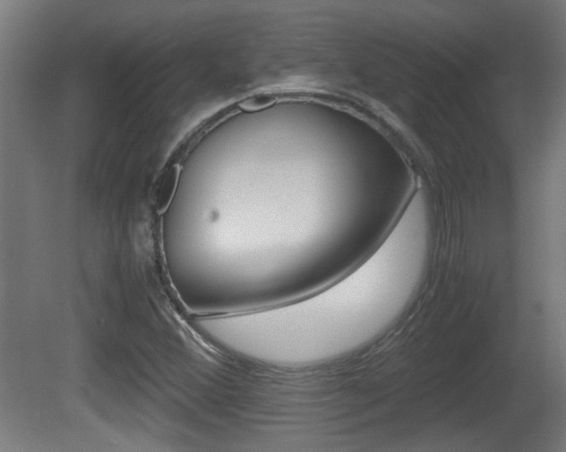 X0000081311356200701110951