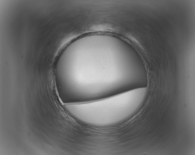 X0000081311358200701110951