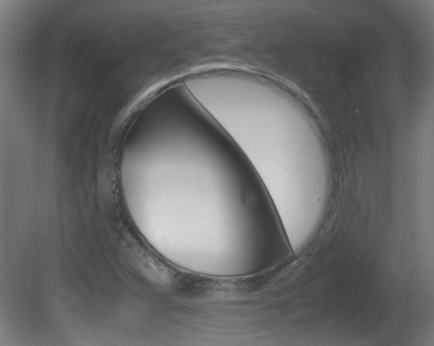 X0000081311359200701110951