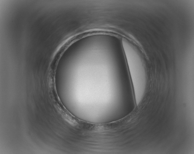X0000081311360200701110951