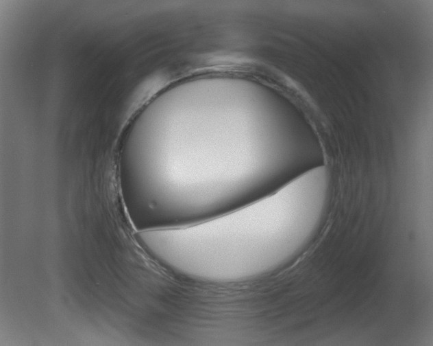 X0000081311362200701110951
