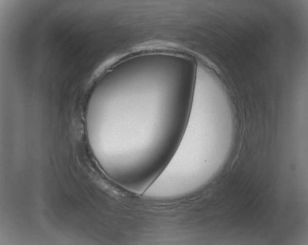 X0000081311363200701110951