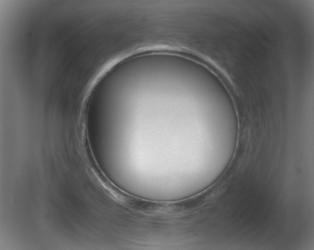 X0000081311367200701110951