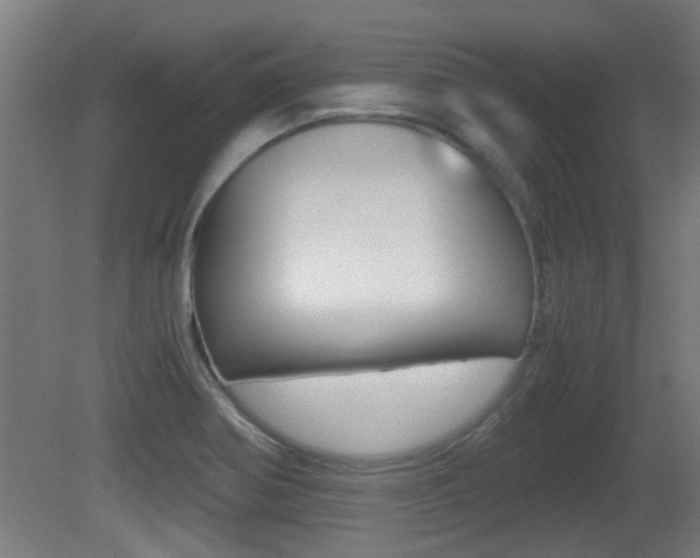 X0000081311370200701110951