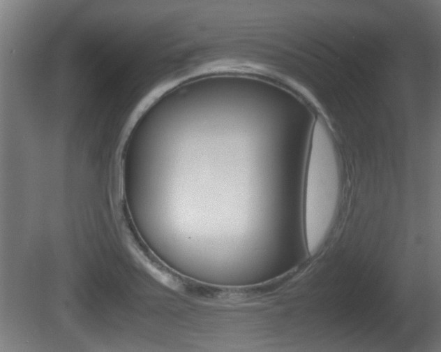 X0000081311371200701110951
