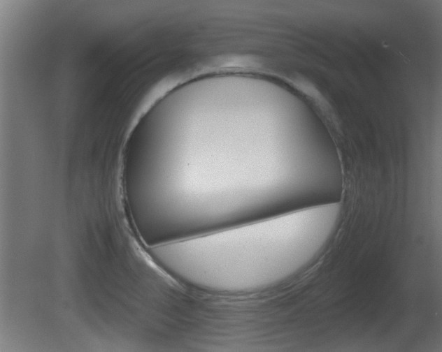 X0000081311374200701110951
