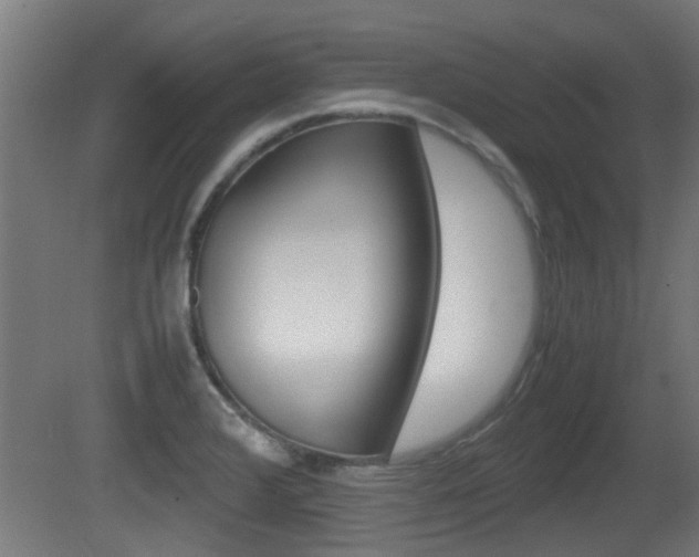 X0000081311376200701110951