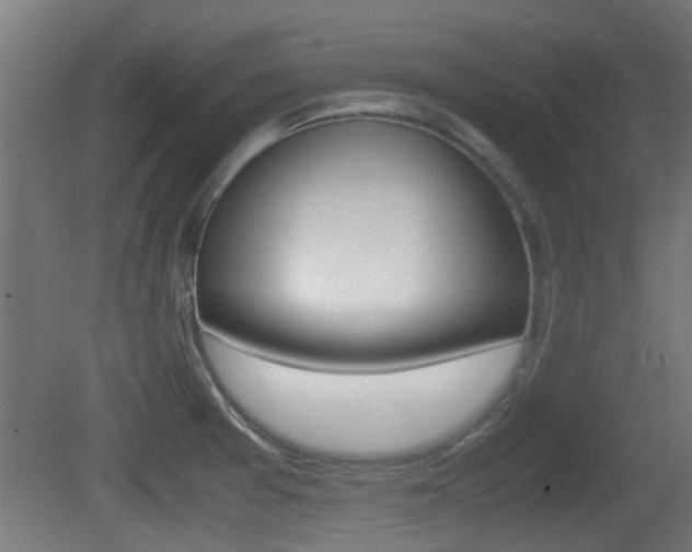 X0000081311377200701110951