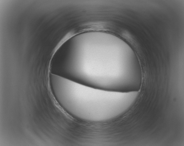 X0000081311378200701110951