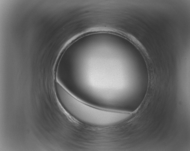 X0000081311380200701110951