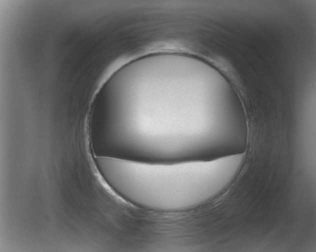 X0000081311382200701110951