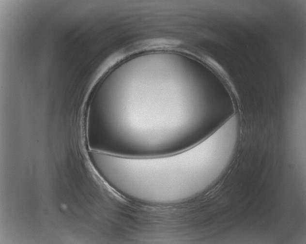 X0000081311384200701110951