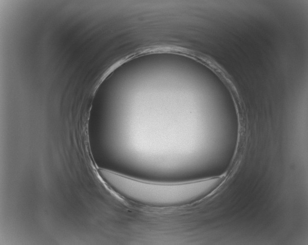 X0000081311385200701110951