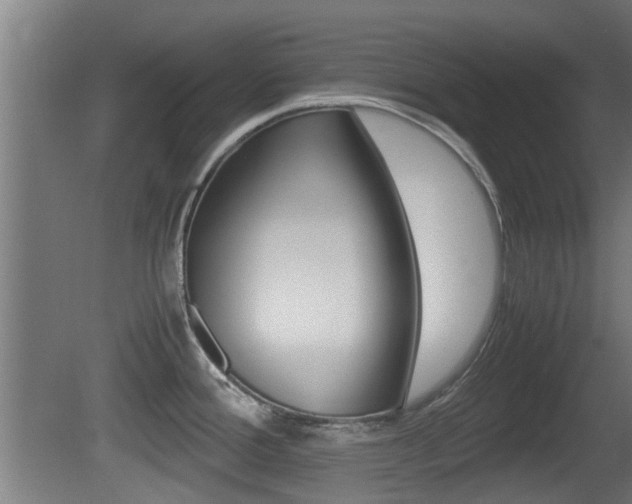 X0000081311388200701110951