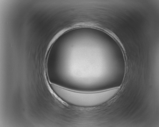 X0000081311389200701110951