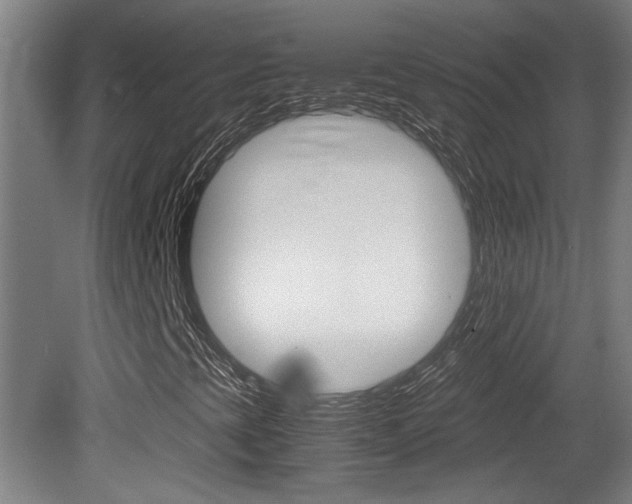 X0000081311393200701110950