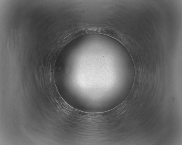 X0000081311394200701110950