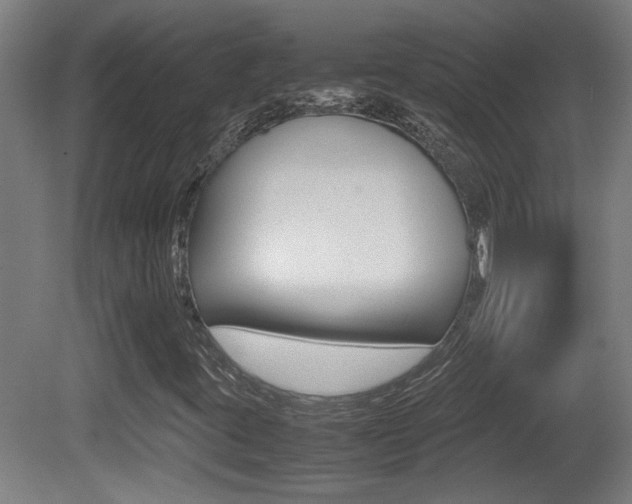 X0000081311395200701110950