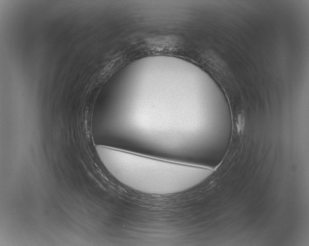 X0000081311396200701110950