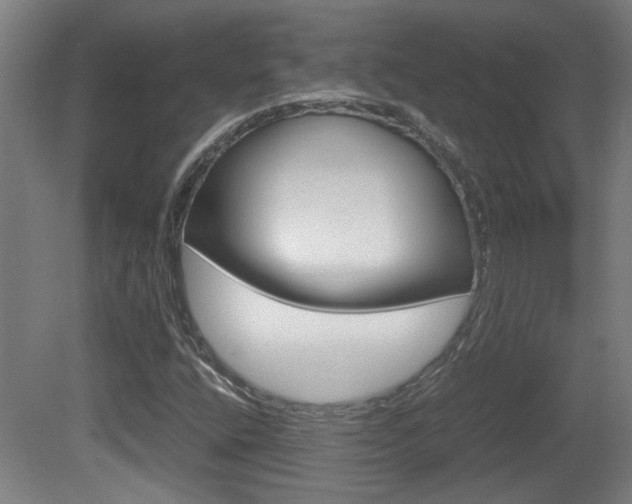 X0000081311400200701110950