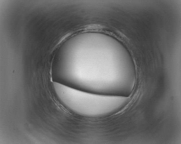 X0000081311401200701110950