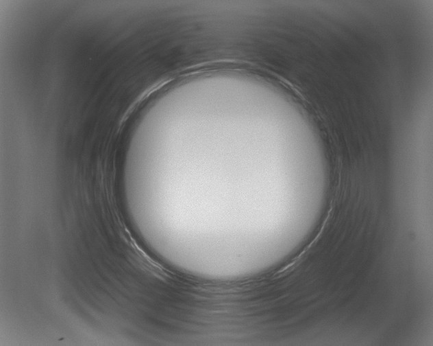 X0000081311402200701110950