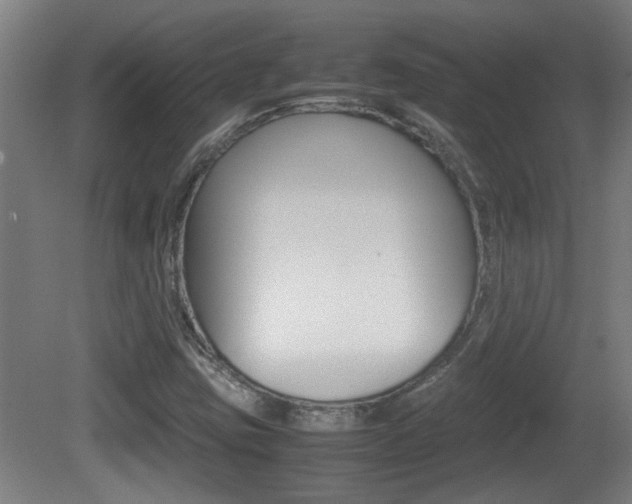 X0000081311403200701110950