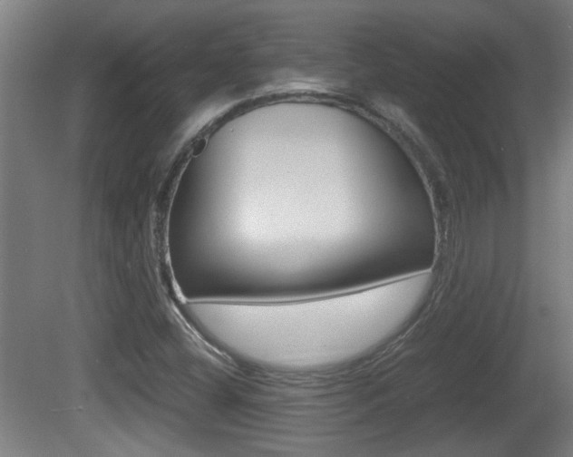 X0000081311404200701110950