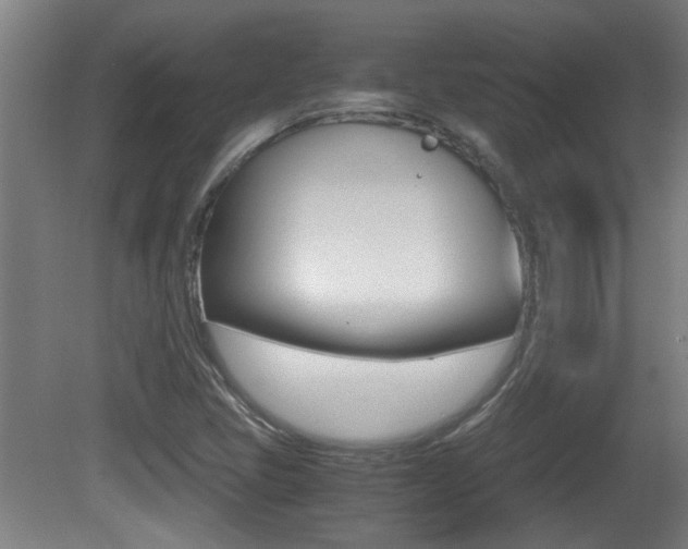 X0000081311405200701110950