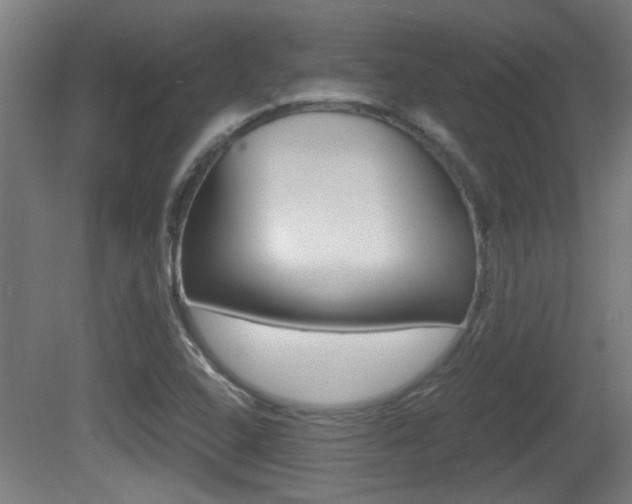 X0000081311408200701110950