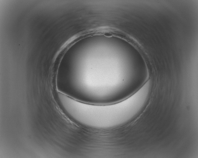 X0000081311410200701110950