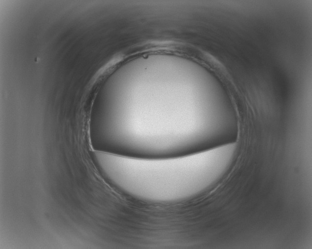 X0000081311411200701110950