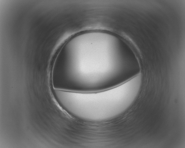 X0000081311416200701110950