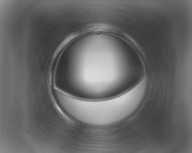 X0000081311418200701110950