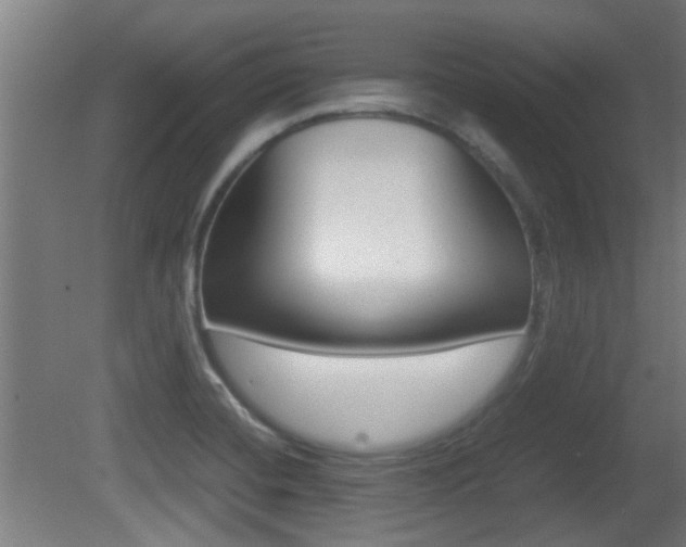 X0000081311420200701110950