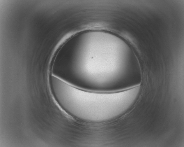 X0000081311424200701110950